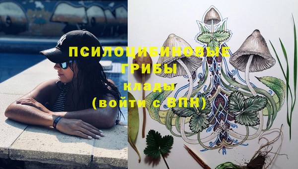 трава Балахна