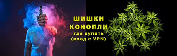 трава Балахна